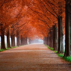 Meet your Posher, Toro Inc